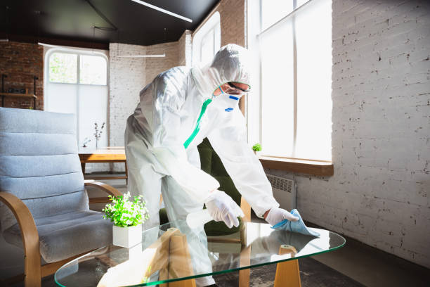 Best Biohazard Mold Removal  in Port Angeles East, WA